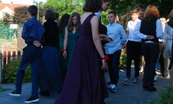 DSC 0231