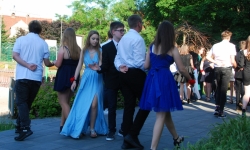 DSC 0240